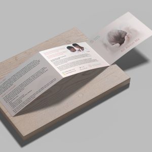 Brazelton – All About Me leaflet